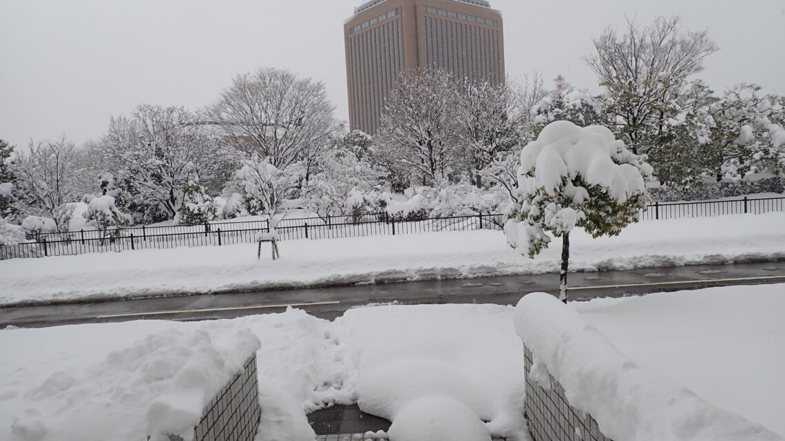 2026年1月事務所の様子
