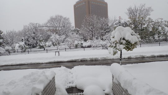 2026年1月事務所の様子