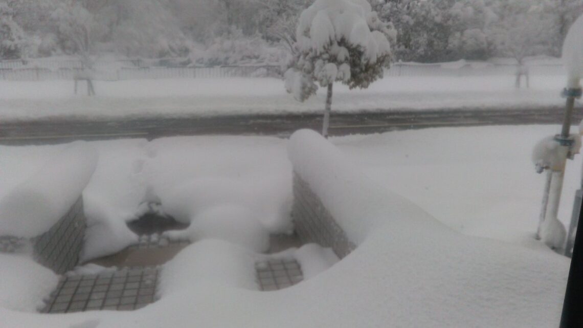 2026年1月X投稿まとめ