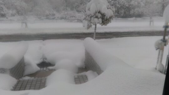 2026年1月X投稿まとめ